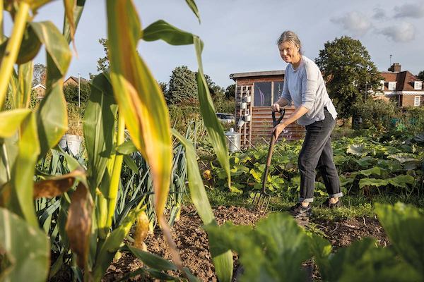 woman gardening