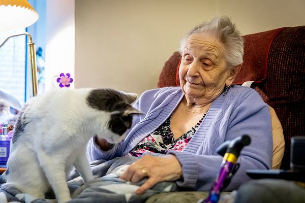 Older-woman-with-a-cat-on-her-lap