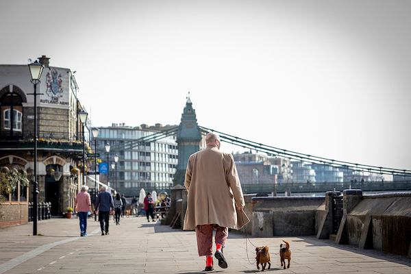 Older-man-walking-two-dogs