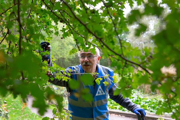 Older-man-peering-through-leaves