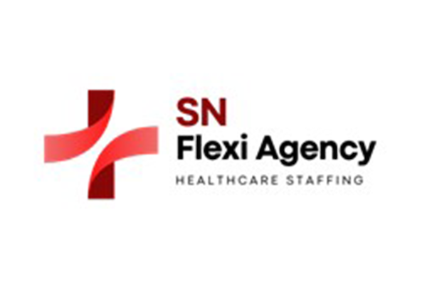SN Flexi Agency logo